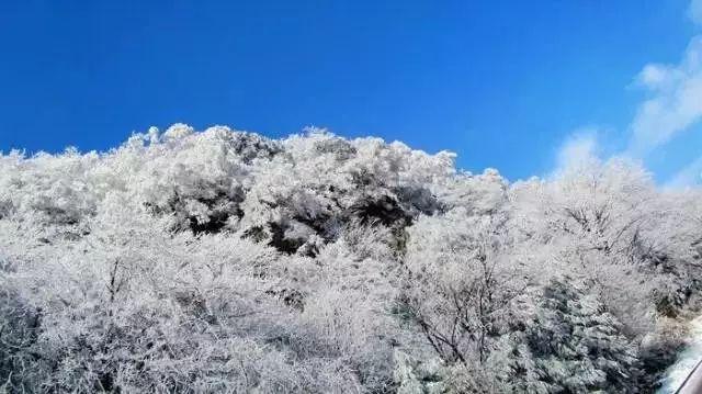 袋鼠兄弟2